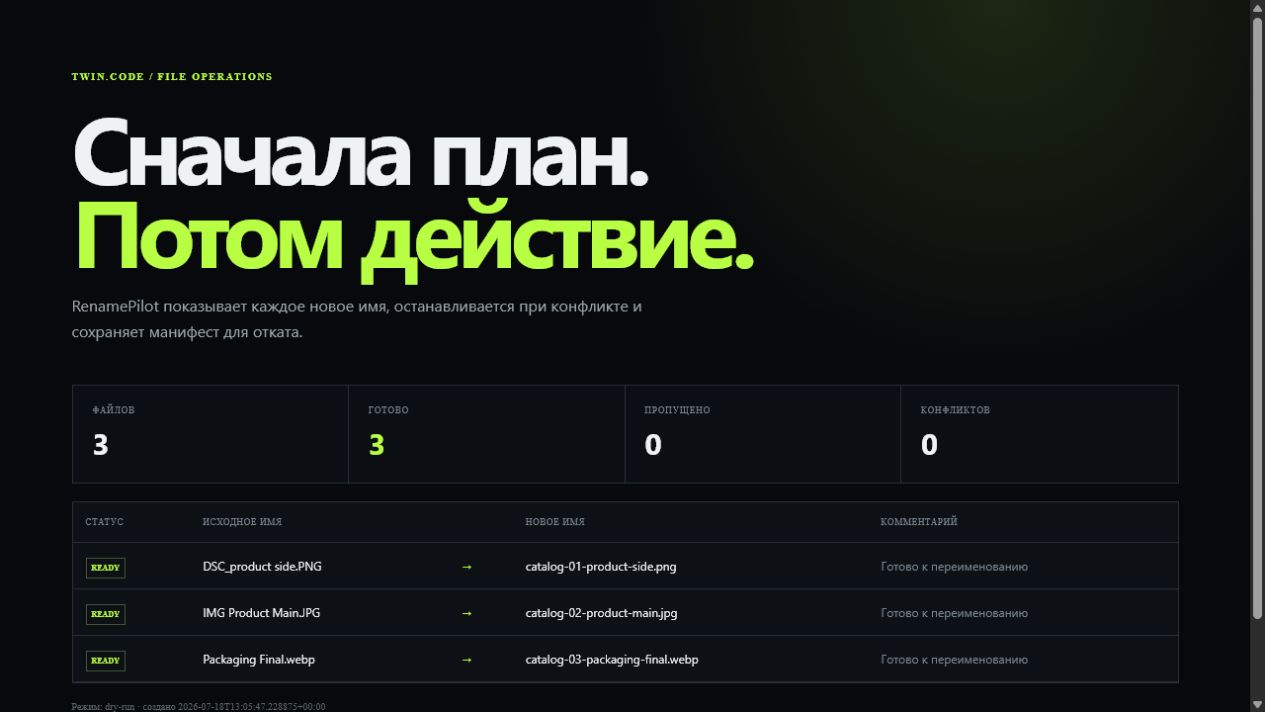 Главный экран проекта «RenamePilot»